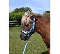 Rhinegold Unicorn Headcollar and Rope Set - Shetland - Turq, Turquoise, 30 cm
