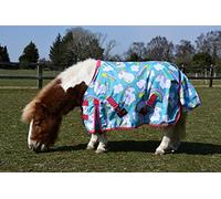 Rhinegold Unicorn Torrent Outdoor Rug - 4/0