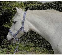 Rhinegold Unisex's Carnival Headcollar & Rope, Blue Check, Extra Full