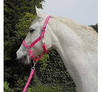 Rhinegold Unisex's Carnival Headcollar & Rope, Bright Pink, Pony