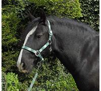 Rhinegold Unisex's Carnival Headcollar & Rope, Green Check, Cob