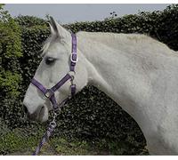 Rhinegold Unisex's Carnival Headcollar & Rope, Purple Check, Cob