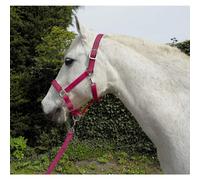 Rhinegold Unisex's Carnival Headcollar & Rope, Raspberry, Cob