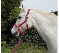 Rhinegold Unisex's Carnival Headcollar & Rope, Raspberry, Cob