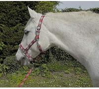 Rhinegold Unisex's Carnival Headcollar & Rope, Red Check, Cob