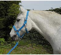 Rhinegold Unisex's Carnival Headcollar & Rope, Turquoise, Cob