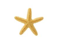 Rhinestone Starfish Brooch for Women Girls Dainty Pearl Starfish Brooch Pin Boho Ocean Beach Star Brooches Pin Bohemia Ocean Themed Brooches Clothing Hat Bag Accessories, L, Alloy Steel, cubic