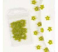 Rhinestones Nail Gems, 4.5g Acrylic Flower Nail Art Rhinestones Gems Multicolor Mixed Size 50 Pcs(50PC-WBH08)