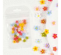 Rhinestones Nail Gems, 4.5g Acrylic Flower Nail Art Rhinestones Gems Multicolor Mixed Size 50 Pcs(50PC-WBH01)