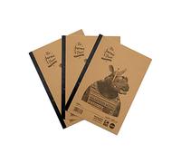 Rhino Recycled Refill Pad 320 Pages 8mm Ruled with Margin A4 (Pack 3)