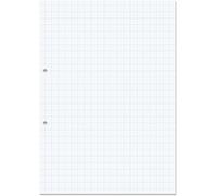 RHINO A4 Loose Leaf Squared Paper, 500 Sheets / 1000 Page, 10mm Squared Paper, Hole Punched, School & Office Stationery Supplies