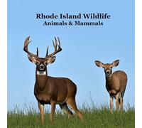 Rhode Island Animals and Mammals Kids Wildlife Book: Great Wildlife Book about Animals and Mammals in Rhode Island
