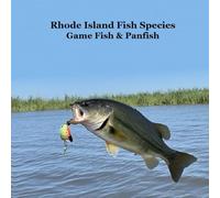 Rhode Island Game Fish and Panfish Species Kids Book: Great Book About the Different Types of Fish in Rhode Island