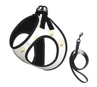 Rhode Island State Flag Print Step in Dog Harness and Leash Set,Adjustable Reflective Harness for Small Dogs Cats