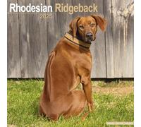 Rhodesian Ridgeback 2025 Square Wall Calendar | Dog Breed Calendar