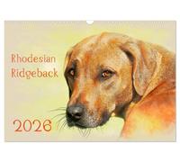 Rhodesian Ridgeback 2026 UK-Version (Wall Calendar 2026 DIN A3 Landscape), CALVENDO 12 Month Wall Calendar