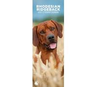 Rhodesian Ridgeback 2026 Wall Calendar, 12-Month Slim Format, Made in England