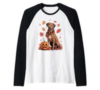 Rhodesian Ridgeback Lover Pumpkin Fall Autumn Thanksgiving Raglan Baseball Tee