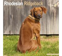 Rhodesian Ridgeback Square Wall Calendar by Avonside Publishing Ltd | 2024