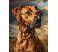 Rhodesian Ridgeback Stamped Cross Stitch Kits for Beginners Adults - Preprinted 11CT Easy Pattern Needlepoint Kits, Arts and Crafts for Home Decor (11.8x15.7inch) 231