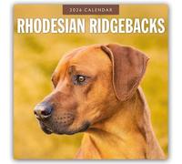 Rhodesian Ridgebacks 2026 Square Wall Calendar: Original Red Robin Publishing Ltd-Kalender [Mehrsprachig] [Kalender]