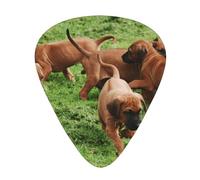 Rhodesian Ridgebacks Dogs Puppies Pets Family,12 Pcs Guitar Pick,3 Different Thickness Plectrums for Acoustic Guitar Bass Ukulele (0.46mm 0.96mm 0.71mm)