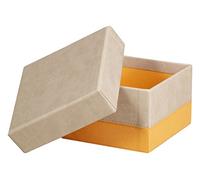 RHODIA 318885C - Set of 5 Beige Nesting Boxes - Orange Saddle Stitching - Faux Leather Exterior - Rhodiarama Home Office Collection - Office Organization & Designer Storage