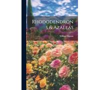 Rhododendrons & Azaleas