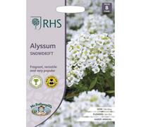 Rhs Alyssum Snowdrift Flower Seeds