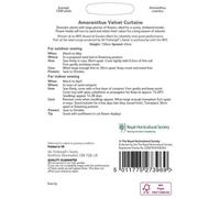 Rhs Amaranthus Velvet Curtains Flower Seeds