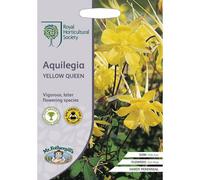 Rhs Aquilegia Yellow Queen Flower Seeds
