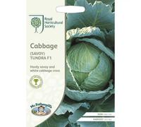 RHS Cabbage (Savoy) Tundra F1 Seeds
