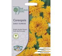 Rhs Coreopsis Early Sunrise Flower Seeds