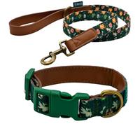 RHS Dog Collar & Lead Set Small, Stylish Botanical Design, Polycanvas Adjustable Collar (20-30cm) & 1M Matching Leash with Soft Touch Leather Handle, Walking Set for Small Breeds