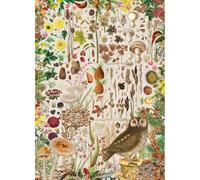 Gibsons RHS Fall Flora 1000 Piece Jigsaw Puzzle for Adults Beautiful Artwork Magic of Nature Plants Insect Bird Sustainable Premium 100% Recycled Board Great Gift Gibsons Games