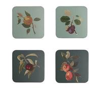 Rhs Fruit Set Of 4 Coasters Blue