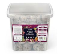 RHS Gourmet Fruit & Nut Fat Balls for Wild Birds, 40 Tub - High-Energy Suet Feed with British-Sourced Beef Tallow - Complementary Bird Food - Sustainably Sourced & Manufactured In The UK