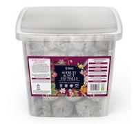 RHS Gourmet Fruit & Nut Fat Balls for Wild Birds, 40 Tub - High-Energy Suet Feed with British-Sourced Beef Tallow - Complementary Bird Food
