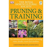 RHS Pruning & Training