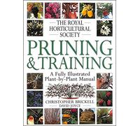 RHS Pruning & Training