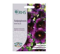 Salpiglossis Seeds Grow Your Own Garden Flowers Purple Kew Blue RHS