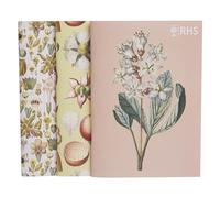 RHS The Royal Horticultural Society 40 Page Stapled Sketchbook (100gsm), Geissler, A5 Pack of 3, Multicoloured, Designs from The RHS Lindley Collections by Christian Gottlieb Geissler