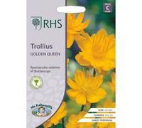 Rhs Trollius Golden Queen Flower Seeds