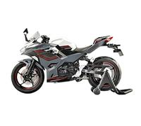RHUIMEI For 1/12 Ninja400 Alloy Motorcycle Model Steering Multi-function Children's Metal Toy Collection Ornaments exquisite(White)