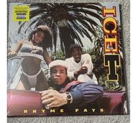 Rhyme Pays by Ice-T Transparent Yellow Vinyl Record New Sealed Rare