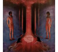 Rhys Bloodjoy - The Chaos In Veins