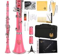Rhythm Bb Clarinet 17 Nickel Keys Woodwind Band & Orchestra Musical Instruments for Beginners Includes Case, Stand, 10 Reeds and Cleaning Kit-Pink
