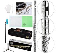 Rhythm C Flutes with Engraved Flower Closed Hole 16 Keys Flute For Student, Beginner with Stand, Carrying Case,Cleaning Kit, Gloves, Tuning Rod, Nickel