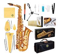 Rhythm Eb Alto Saxophone With Carrying Sax Case,Full set Cleaning and Care kit,Sax Foldable Stand,box of reeds,Mouthpiece,Straps-Gold Color