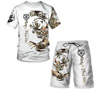 RIAAJ Lion Tiger and Wolf Animals T-Shirt and Shorts Set T-Shirt Trousers Shorts Summer Men's T-Shirt Sets Men's Lion King Tracksuit Tops Shorts Sports and Leisure Suit 3D Print, A16, L